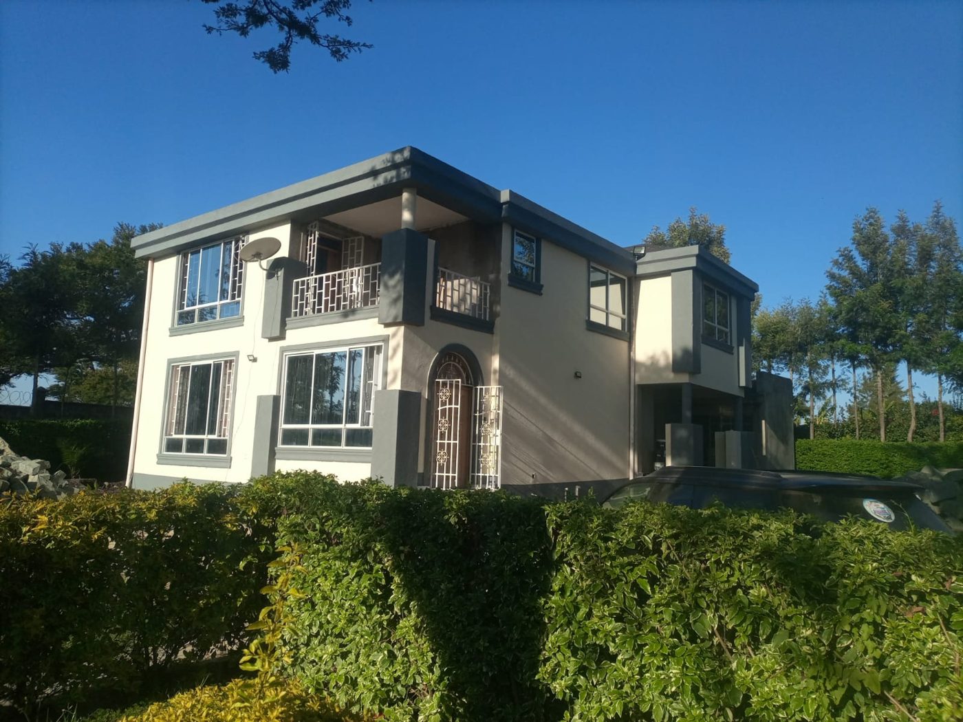 A freshly painted two-tone family home in a leafy garden